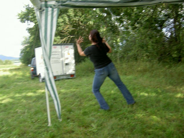 sandra instruct benno