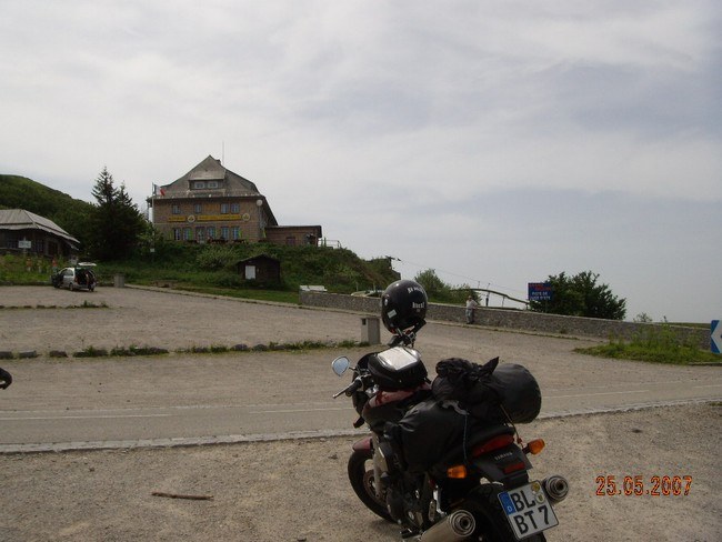 bulldog in france