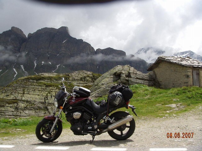 gertis bulldog in the alps